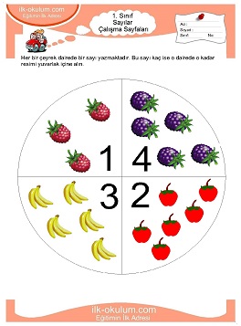 Çocuklar İçin Sayılar Çalışma Sayfaları 